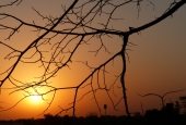 IIP Online Student Photography